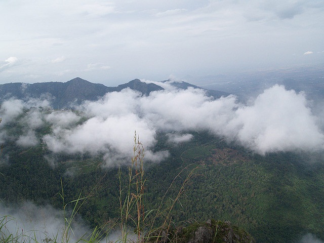 Ooty-Tamil Nadu-India