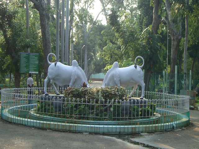 Botanical Garden-Pondicherry