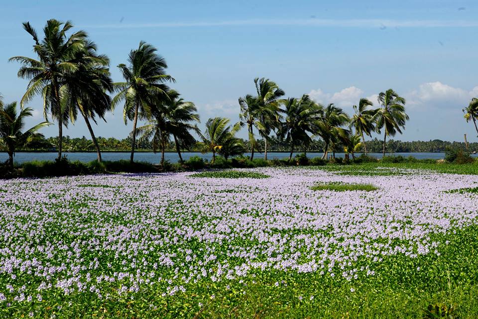 Travel to Kochi - Experience That Makes You Happy